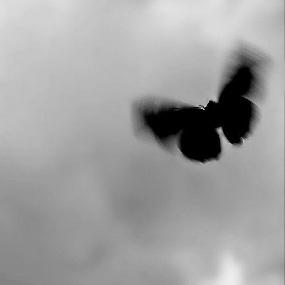 Elude — foto artista, articolo su L.E.S. instrumental (best part slowed reverb) in 432 Hz | 432hz-converter.com